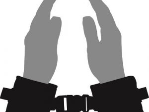 Loving Joy Beginners Wrist Restraints